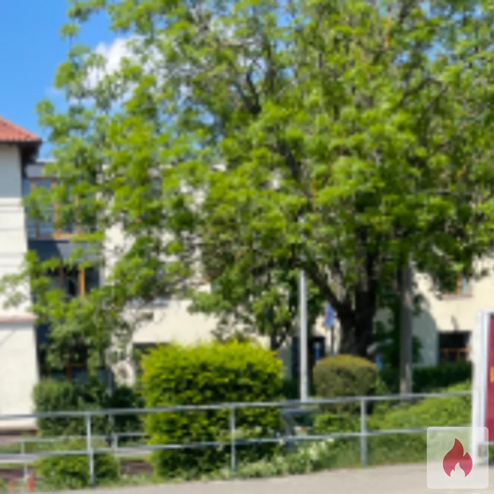 Suche mit meine Freundin jemand für ffm - Baden-Württemberg / Landkreis Esslingen - Kontaktanzeige