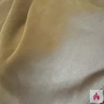 Lust auf ein bisschen Spaß ?