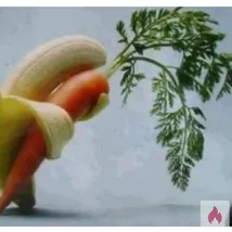 Banane sucht junges Gemüse f regelmäßigem Gf6 gg TG