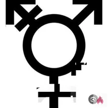 Transen suche sex 