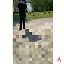 Er sucht ihn für geile blowjobs