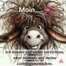 Cam Sex Chat  ????