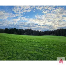 SEXPARTNERIN FÜR ANONYME VIDEOS
