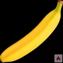 Suche Sex Treffen und Affäre mit einer Frau