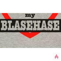 Blasehase gesucht 