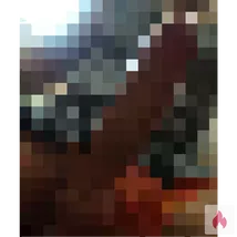Geiler Sex vor der Cam! 