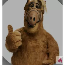 Vögeltreffen gesucht