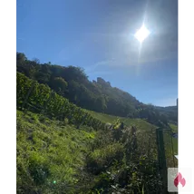 Suche Sie mit Sub-Neigungen 