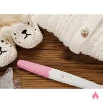 Frau für Breeding gesucht 