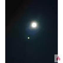 Hausmann sucht Hausfrau!