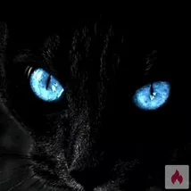 suche Sie ab 18j für erotische Taschengeld Treffen 