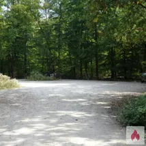 Welche Dame macht BJ TG?