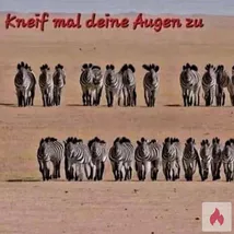 Suche BBW SSBBW Frauen 