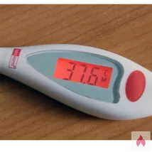 Sie für speziellen Fetisch gg TG gesucht (kein GV)