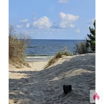 Suche eine Frau für Leidenschaft und Sex