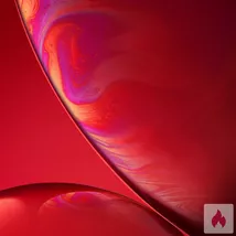 Sex Treffen Salzgitter/Braunschweig 