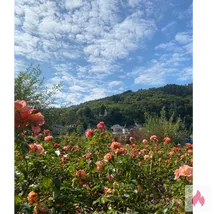 Nylonfreund sucht Dame