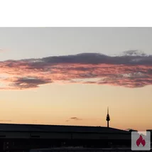 Suche das Erotische Abenteuer 