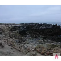 Er (devot) sucht online Herrin