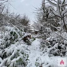 Perverse Sau gesucht