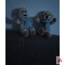 Suche Paar für geilen Sex