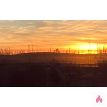 Suchen gepflegte Männer ab 50