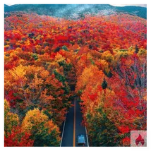 BBC  sucht leck und sex