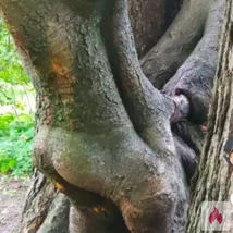 Bi sucht Mann oder Paar 