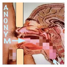 Quickypause mit TG für Spermahengste