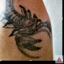 Affäre und eine Freundschaft ohne Verpflichtung 