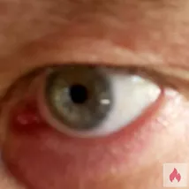 Suche mollige Sie zum Chatten/Mailen/Austausch