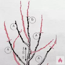 Unerfahrene neugierige gesucht
