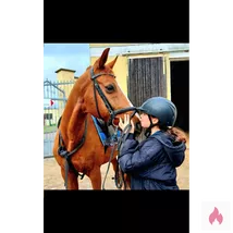 Laura die geile reiterin