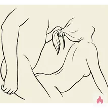 Reiferer Hengst sucht schlanke willige diskrete Stute