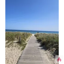 Suche eine Frau für Seitensprung und Affäre 