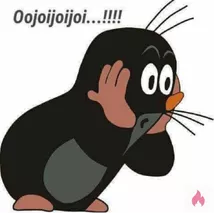 Sextreffen, Mann für Frau