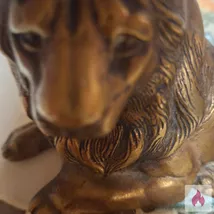 Absolute devote sie gesucht