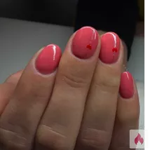 Muschilecker gesucht