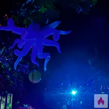 M31 sucht diskrete F+