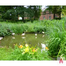 Gebe Blowjobs ohne Gegenleistung