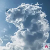 Leidenschaftliche Hausfrau gesucht 