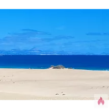 Welche Reife Frau im Hotel möchte Heute Massiert werden