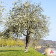 ohne Gummi/AO fremdvögelnde Frauen 18+ i,m, Umgebung