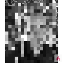 Phantasie ist gefragt 