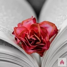 Private Kontakte zwecks Erotiktreffen gesucht.