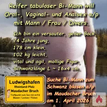 Suche Mann/Frau/Divers für Oral-, Vaginal- und Analsex.