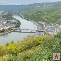 Suche Spermaschlampe 