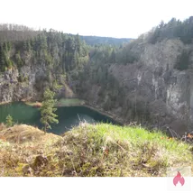 Gutbestückte Stecher (ab ca. 18x5 cm)