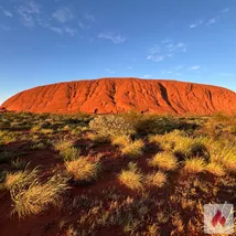 Lady, dressed to kill