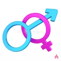 Ich suche sie in meiner Nähe 